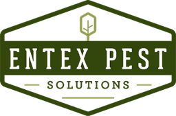 Entex Pest Control
